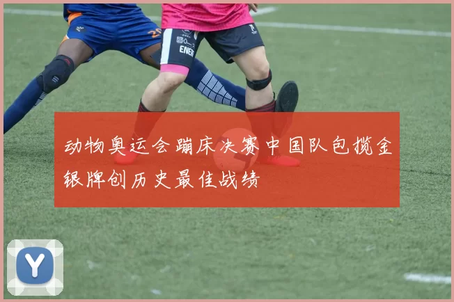 动物奥运会蹦床决赛中国队包揽金银牌创历史最佳战绩