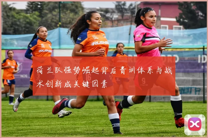 荷兰队强势崛起背后青训体系与战术创新成关键因素