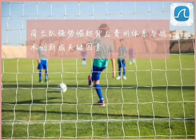 荷兰队强势崛起背后青训体系与战术创新成关键因素